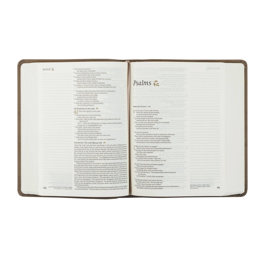 NLT Notetaking Bible: Marlo Theme