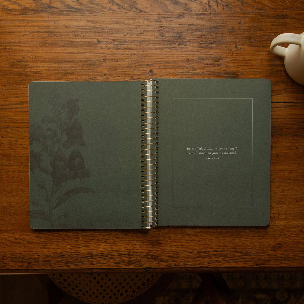The Psalms Spiral Bible Study | Volume 1