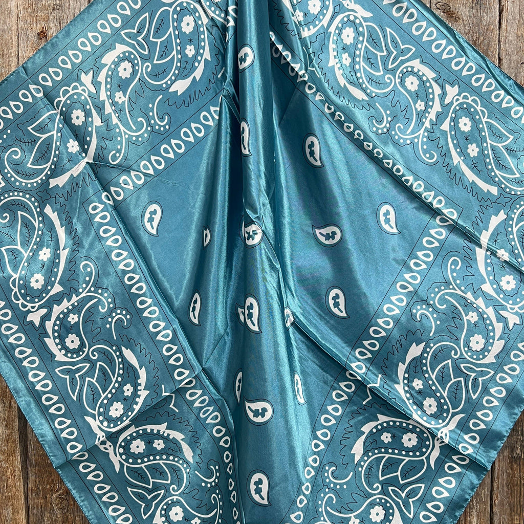 Blue & White Paisley Wild Rag - Western Scarf