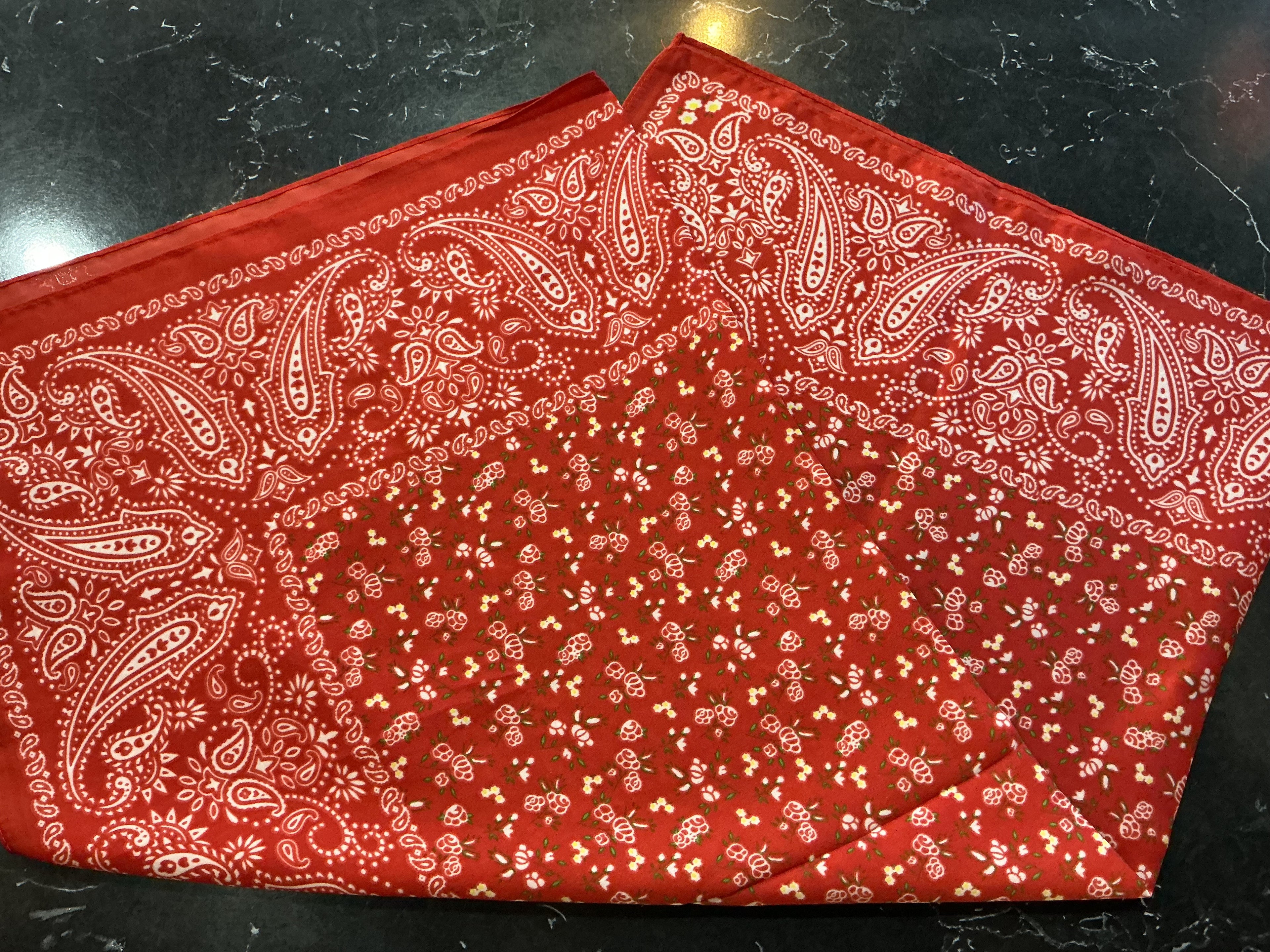 Red bandana print wild rag