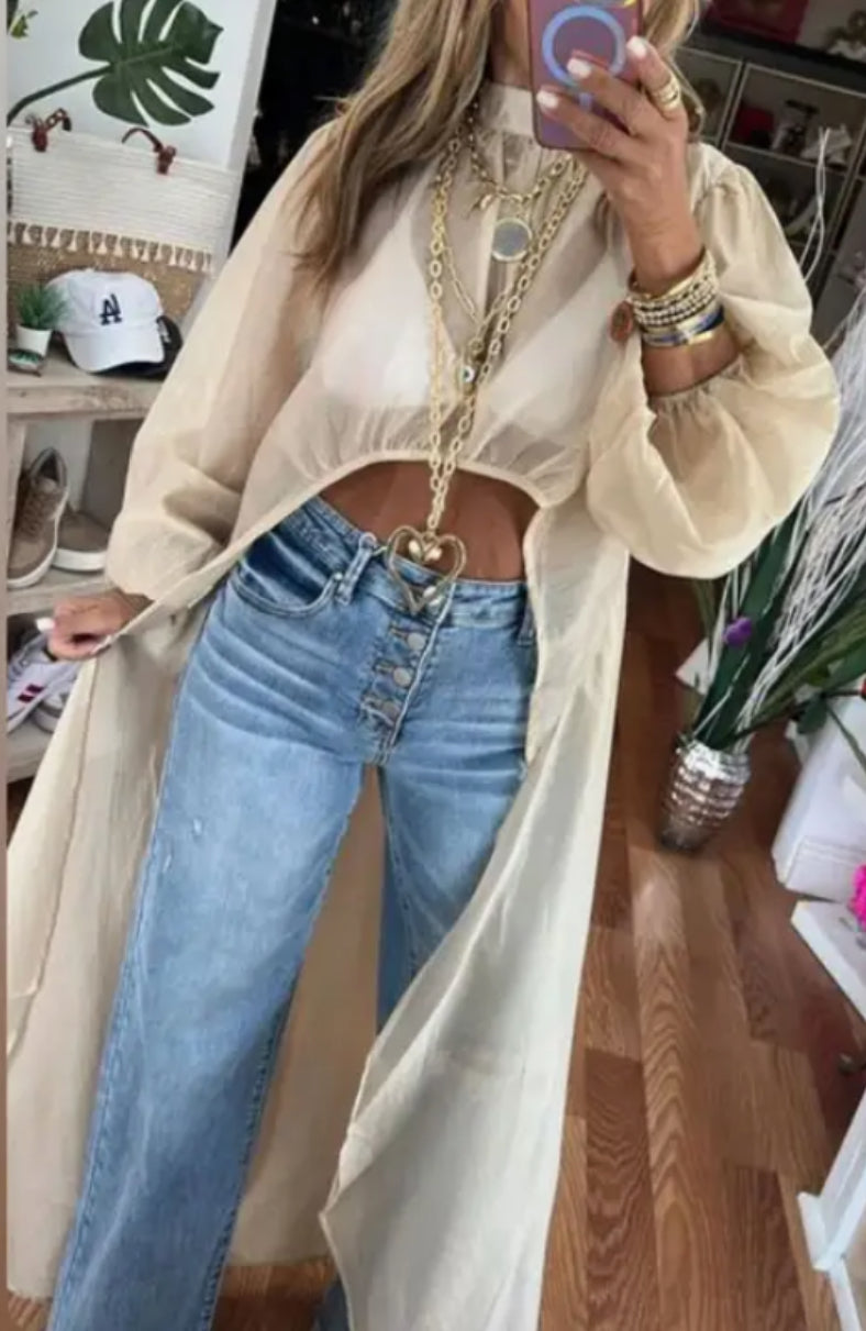 Sheer high low top
