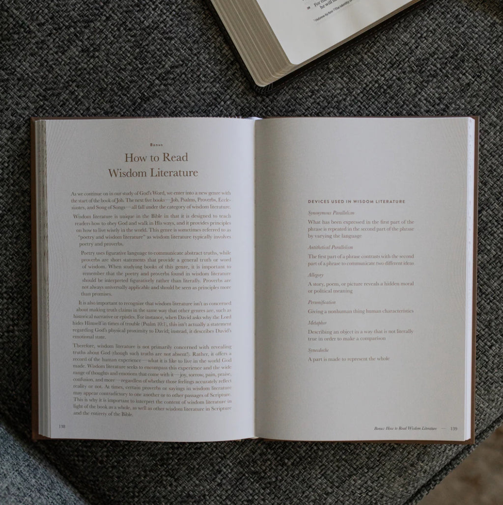 A year in the Bible: volume 2