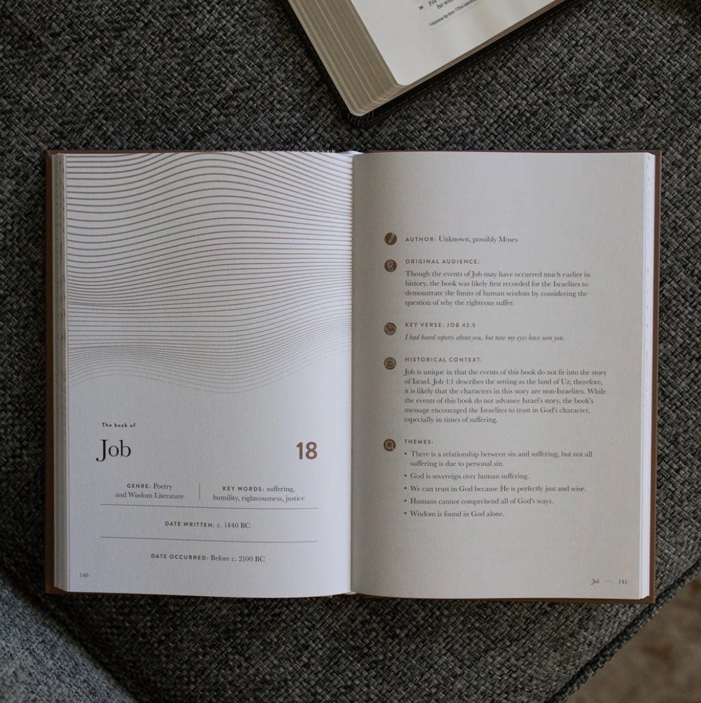 A year in the Bible: volume 2