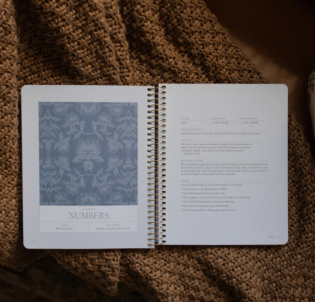 A year in the Bible: volume 1
