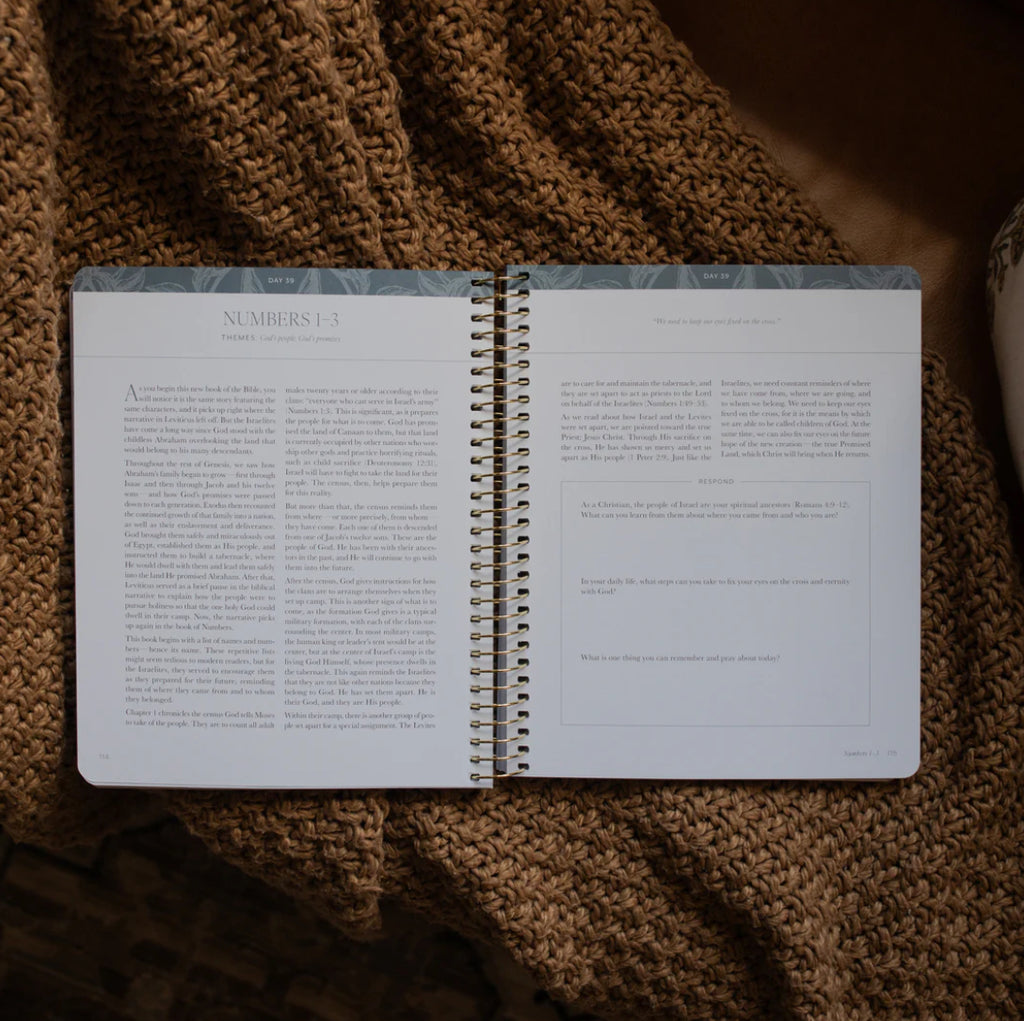 A year in the Bible: volume 1