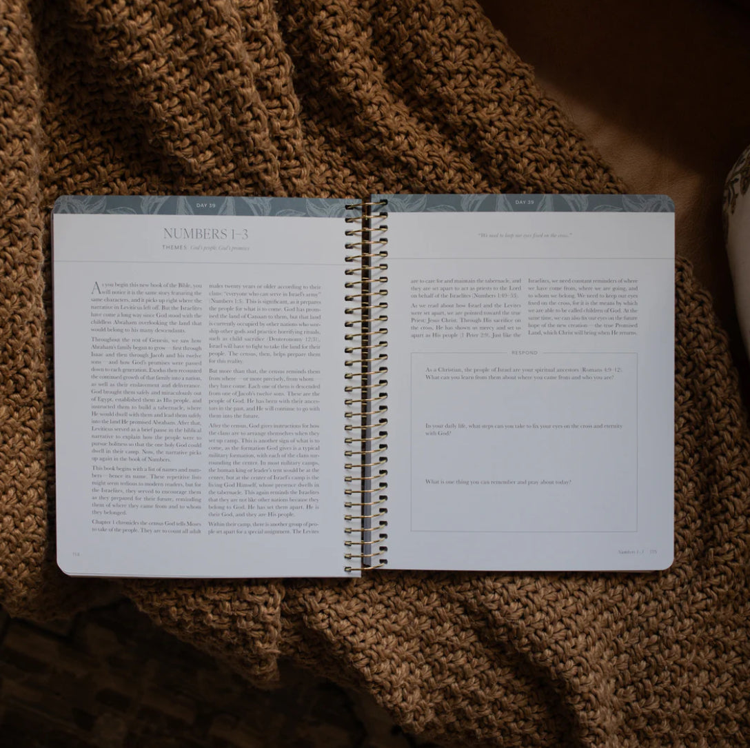 A year in the Bible: volume 1