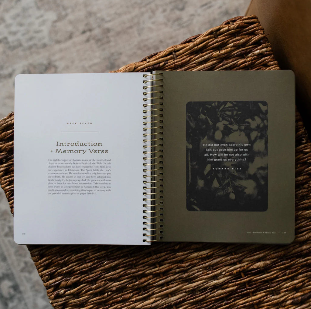 In Christ Alone: a study on the book of Romans (men)