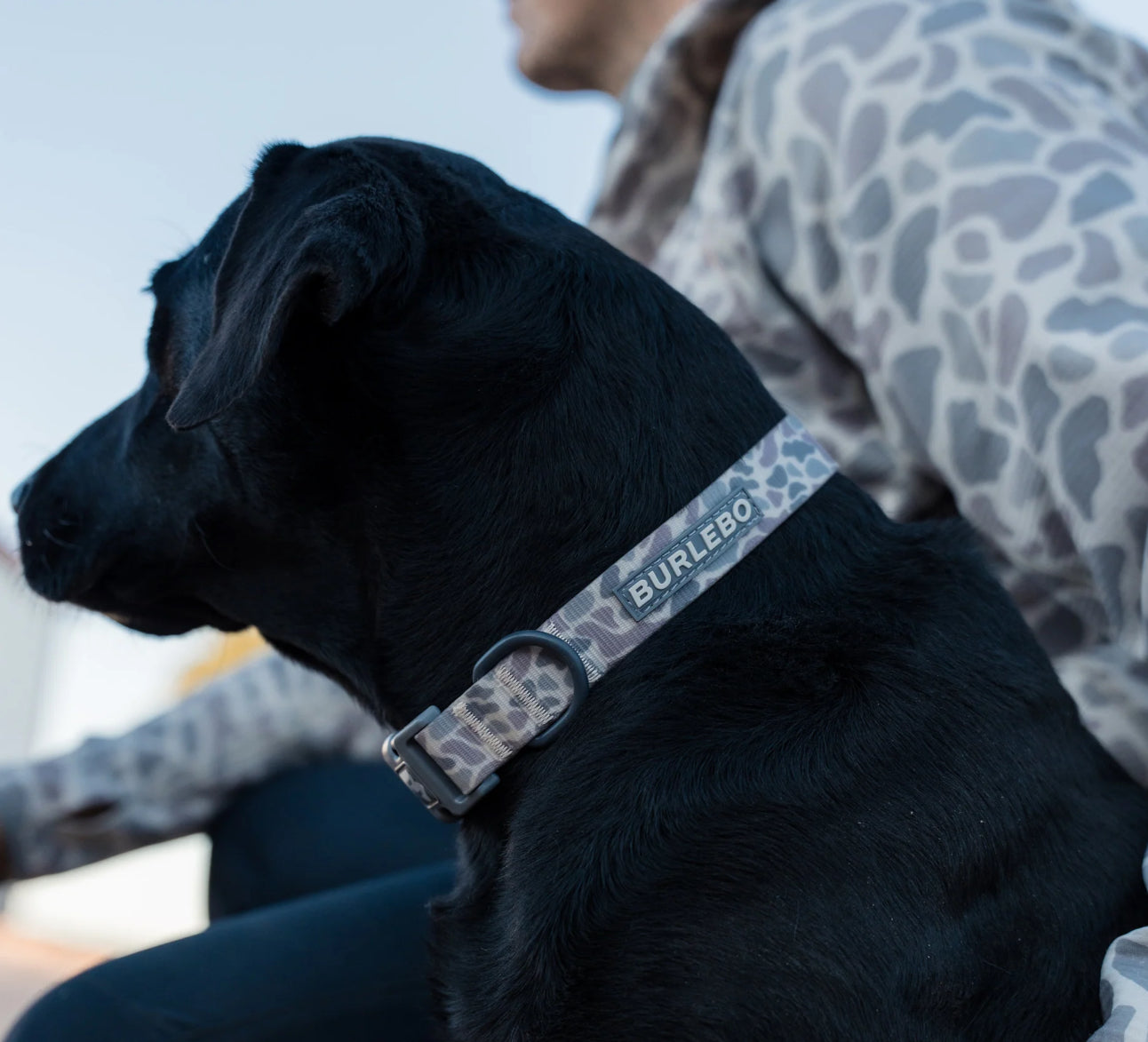 BURLEBO dog collar