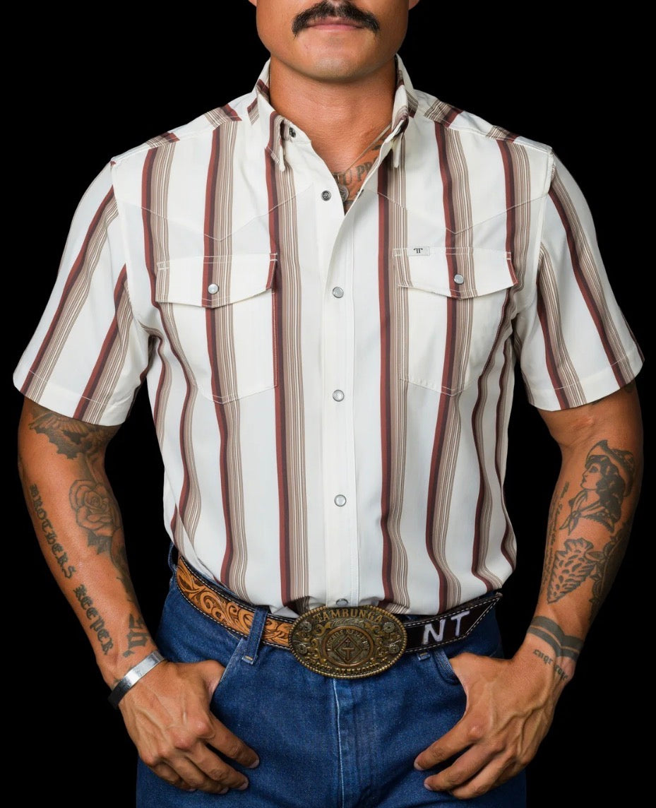 The Tristan in brown