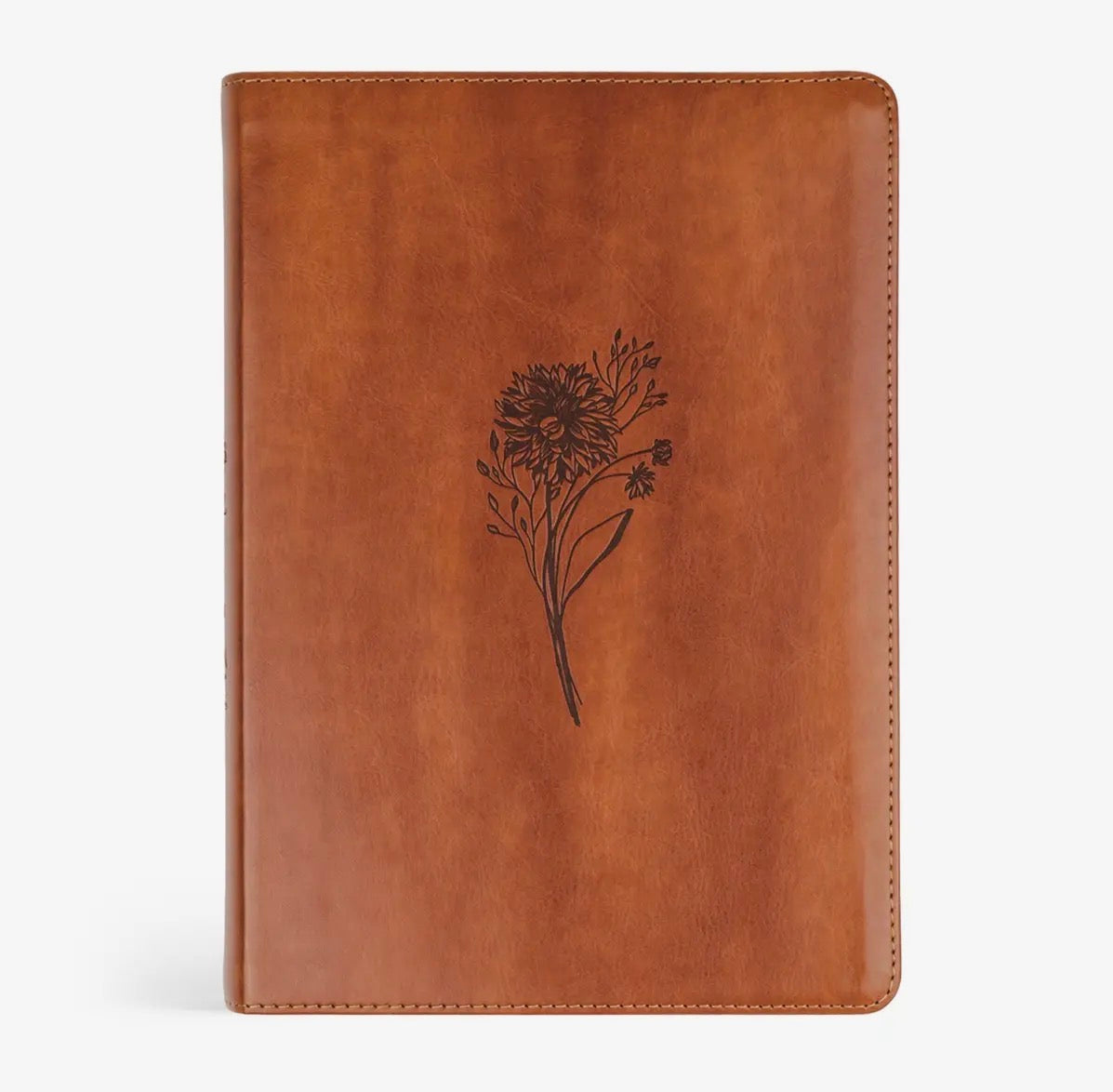 ESV Large Print Journaling Bible: Sierra Theme