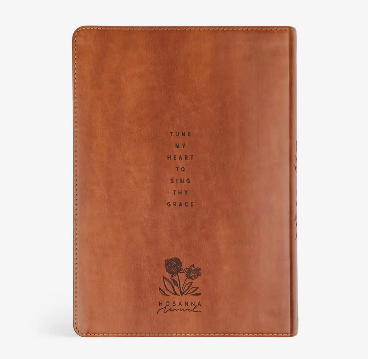 ESV Large Print Journaling Bible: Sierra Theme
