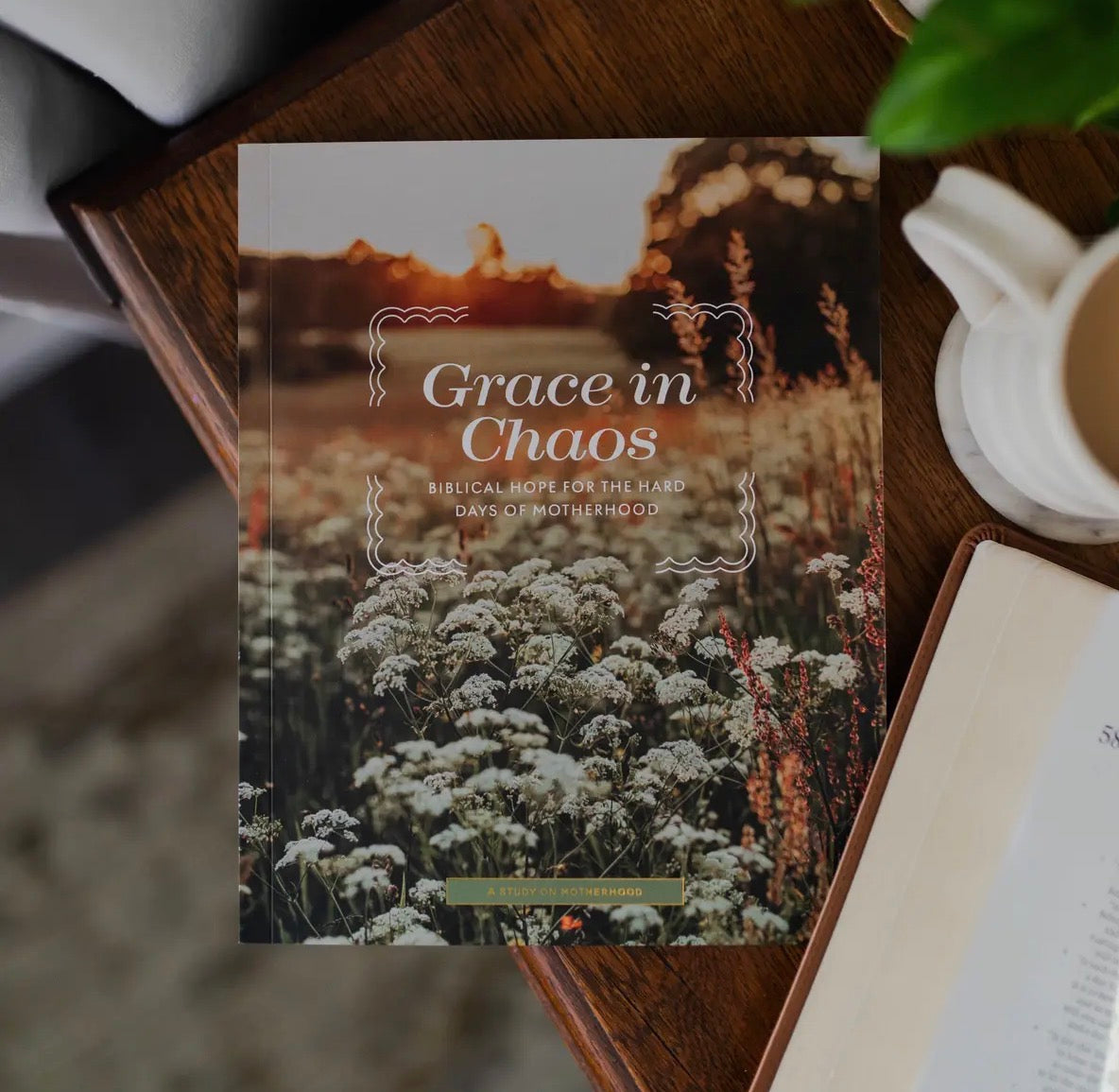 Grace in Chaos Bible Study