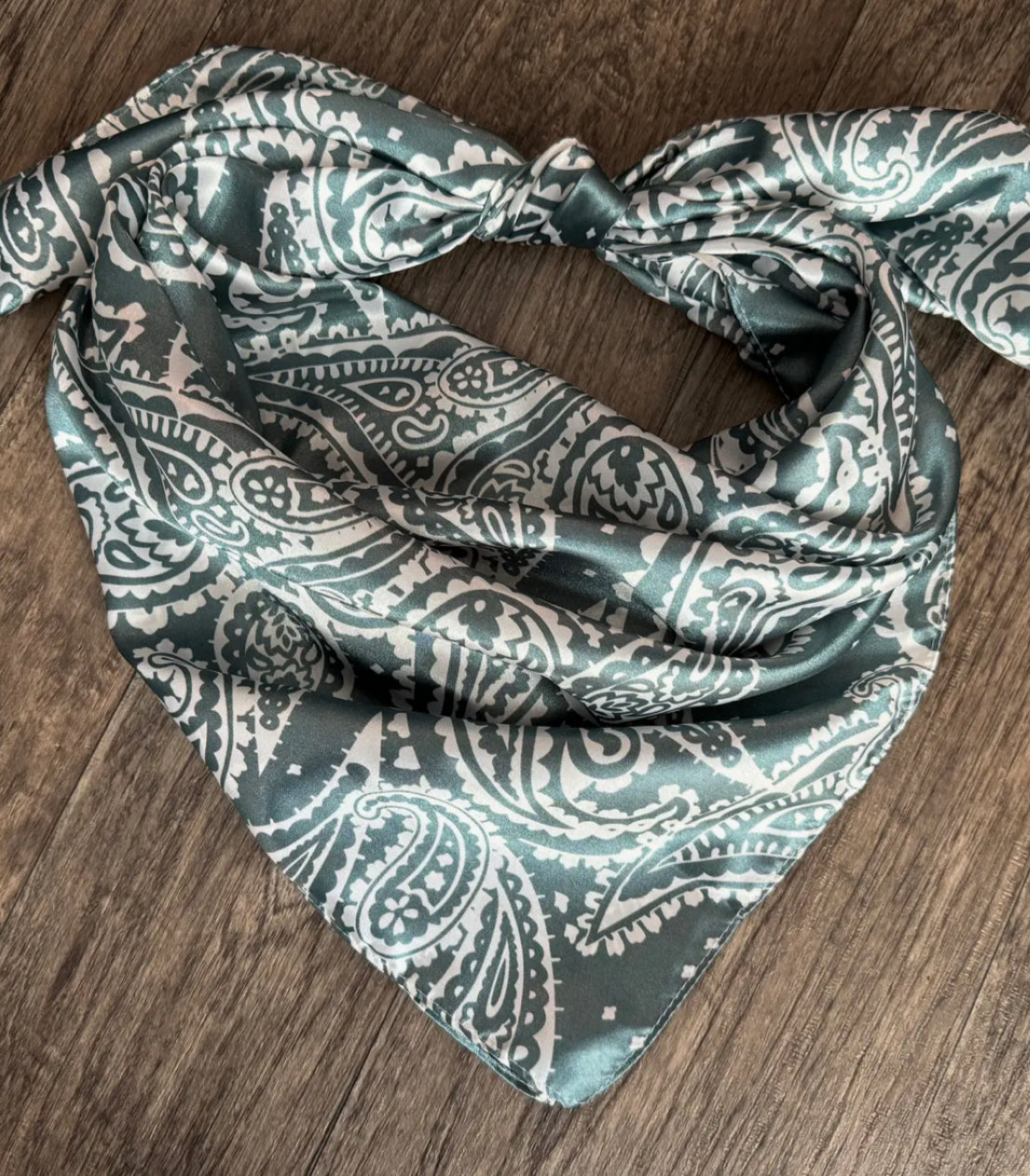Paisley print wild rag
