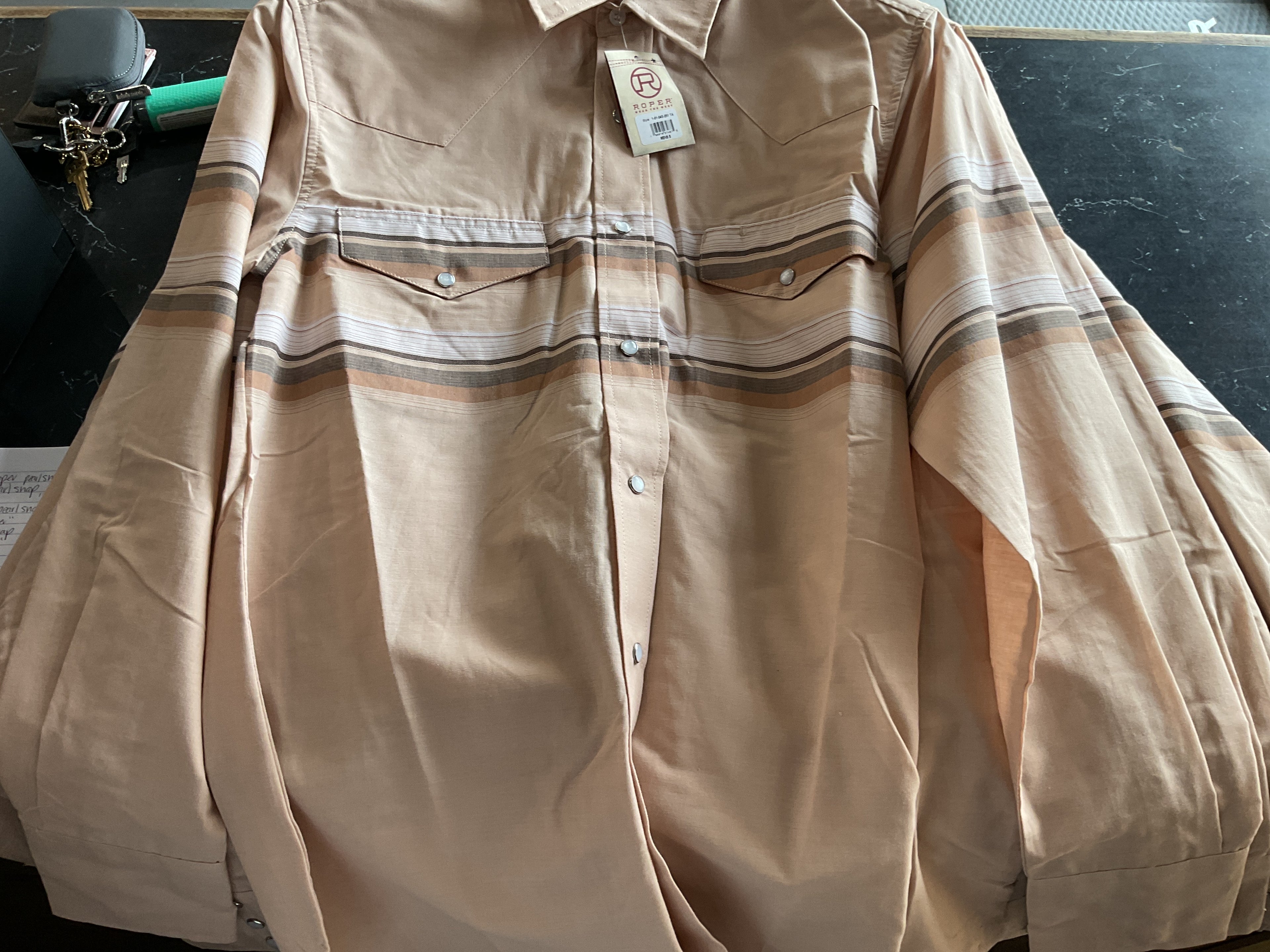 Tan and brown border stripe roper L/S pearl snap