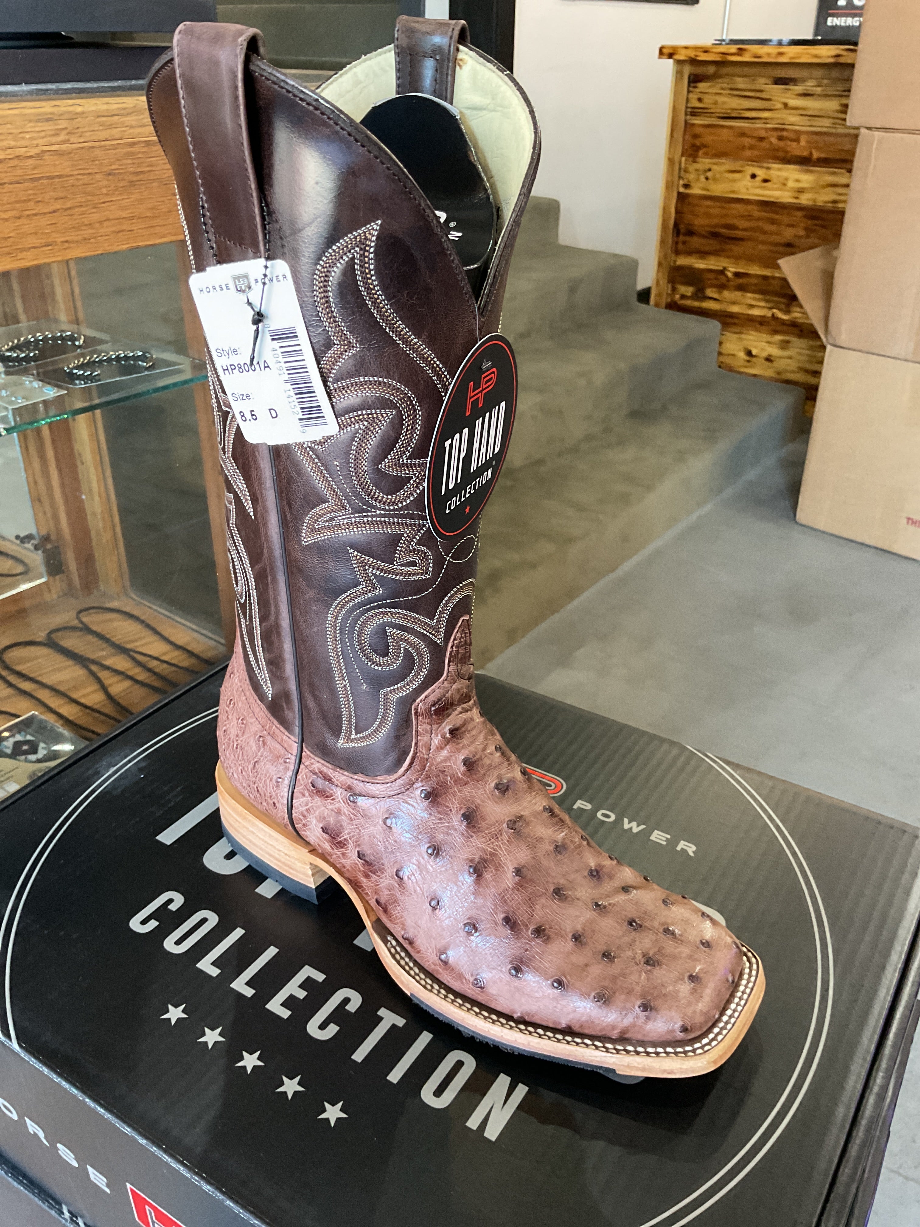 Brown full quill horse power